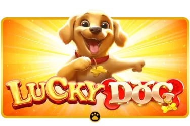 Live casino dealer streaming baccarat on jlbet app mobile browser
